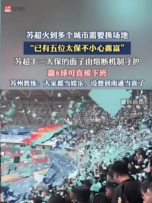 慕尼黑1860球迷与奥格斯堡球迷斗殴，大约的简单介绍